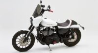 XL Sportster 2007-20/4.5 Gallon Fuel Tank The Wall Saddle