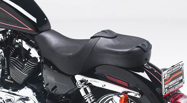 XL Sportster 2007-22 Gunfighter & Lady /3.3 Gallon Fuel Tank - Image 3