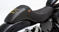 XL Sportster 2007-22 The Wall /3.3 Gallon Fuel Tank